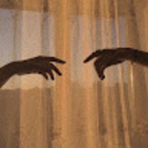 Meet your Posher, Bailey